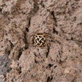 Asatru Haar- & Bartschmuck aus Bronze