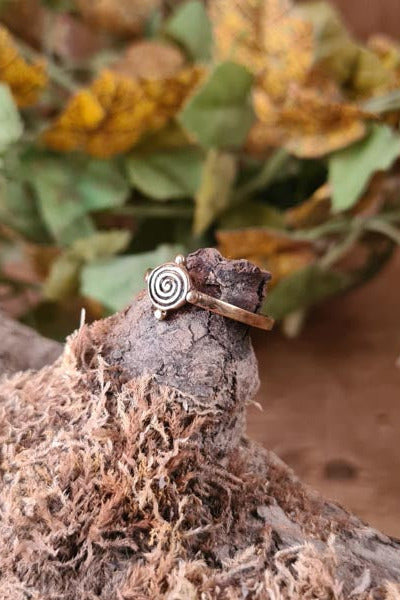 Bronze ring Celtic earth
