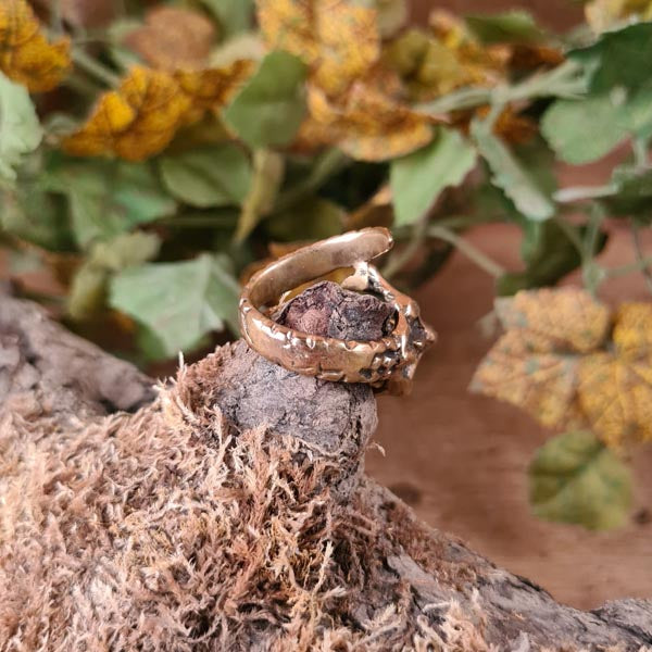Bronze Ring Dragon's Claw