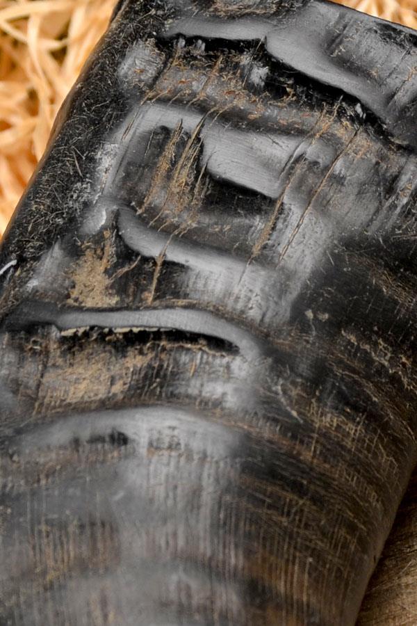 Genuine Water Buffalo Drinking Horn