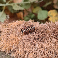 Celtic Hair & Jewelry Bead Braid Work in Bronze