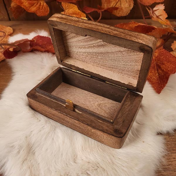 Small wooden chest with hidden clasp