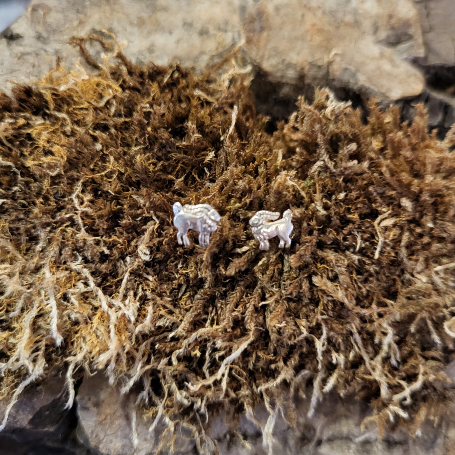 Ram stud earrings in silver