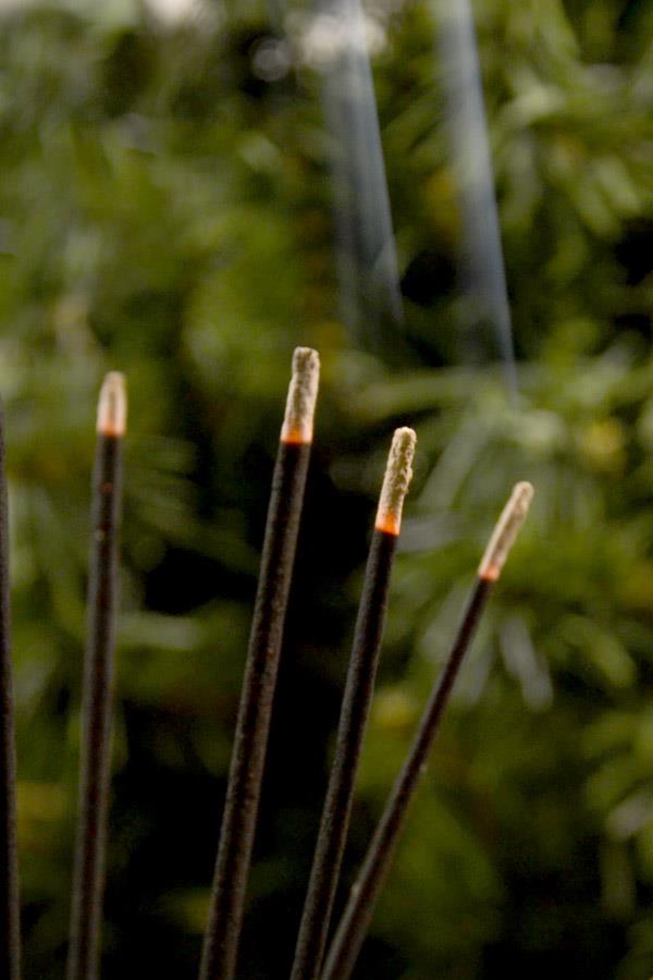 HEM Incense Sticks