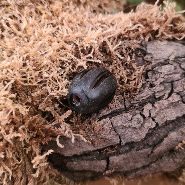 Große Frühmittelalter Melonenperle schwarz aus Glas