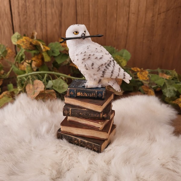 Schneeeule auf Buchstapel - handbemalt