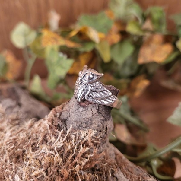 Hexen Ring Eule Aridia aus Silber