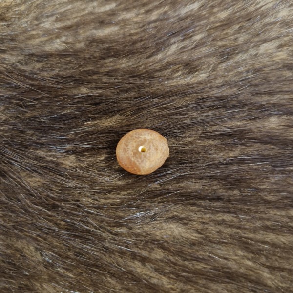 Rohbernstein mit 1,5 mm Bohrung für DIY Schmuckketten