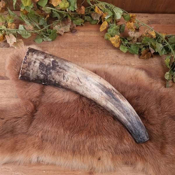 Wikinger & Germanen Rufhorn naturbelassen