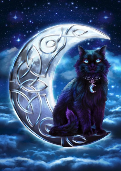 Grusskarte - Schwarze Katze im Mond