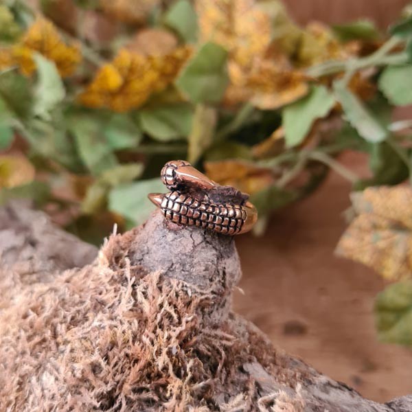 Fantasy Ring Drachen Klaue aus Bronze