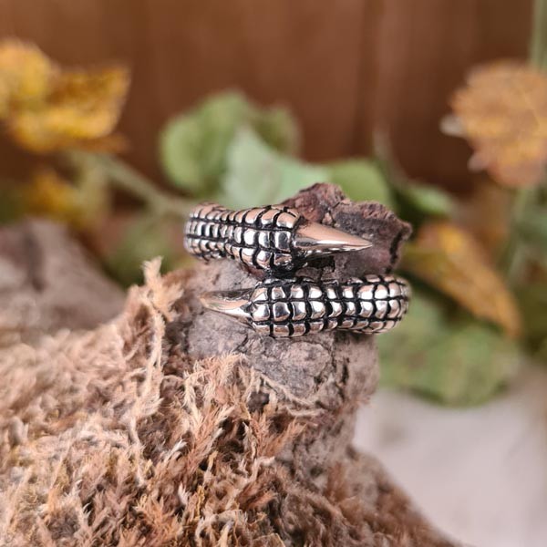 Silberring Drachen Klaue