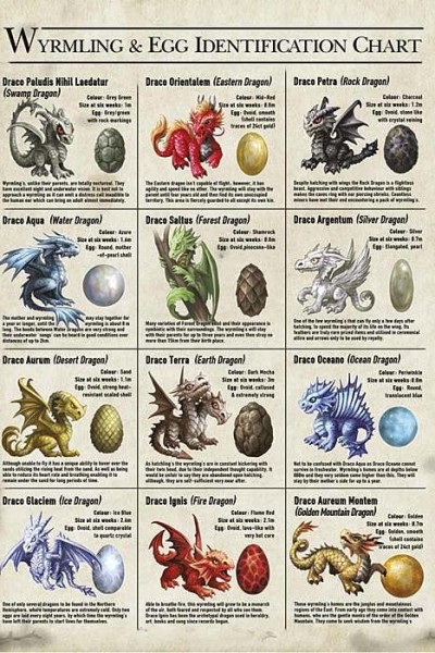 Grusskarte - Drachen Enzyklopädie